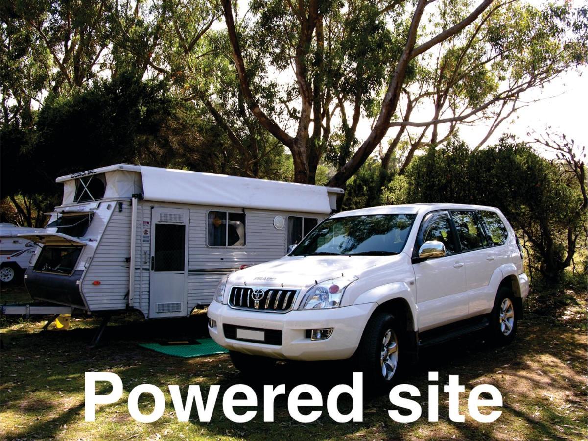 Bimbi Park - Camping Under Koalas Cape Otway Esterno foto