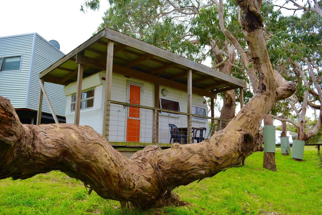 Bimbi Park - Camping Under Koalas Cape Otway Esterno foto